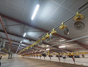 Zateplení podhledu na farmě